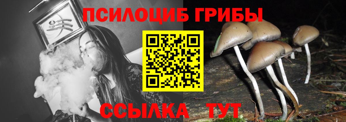 Галлюциногенные грибы Cubensis Чехов